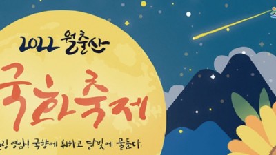 [전남 영암] 월출산국화축제