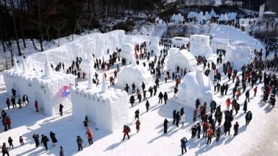 [축제-태백] 태백산 눈축제