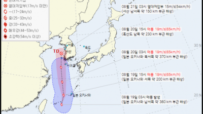 [정보] 9호 태풍 ‘종다리’ 발생…내일부터 비 뿌린다